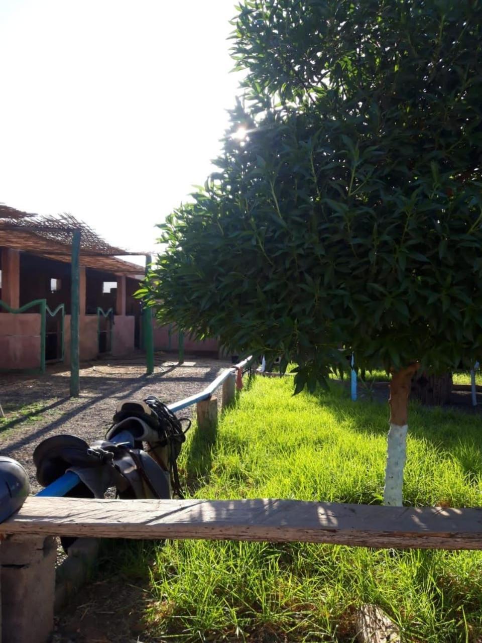 Villa Les Cavaliers Chez Yassine Marrakesh Exterior foto