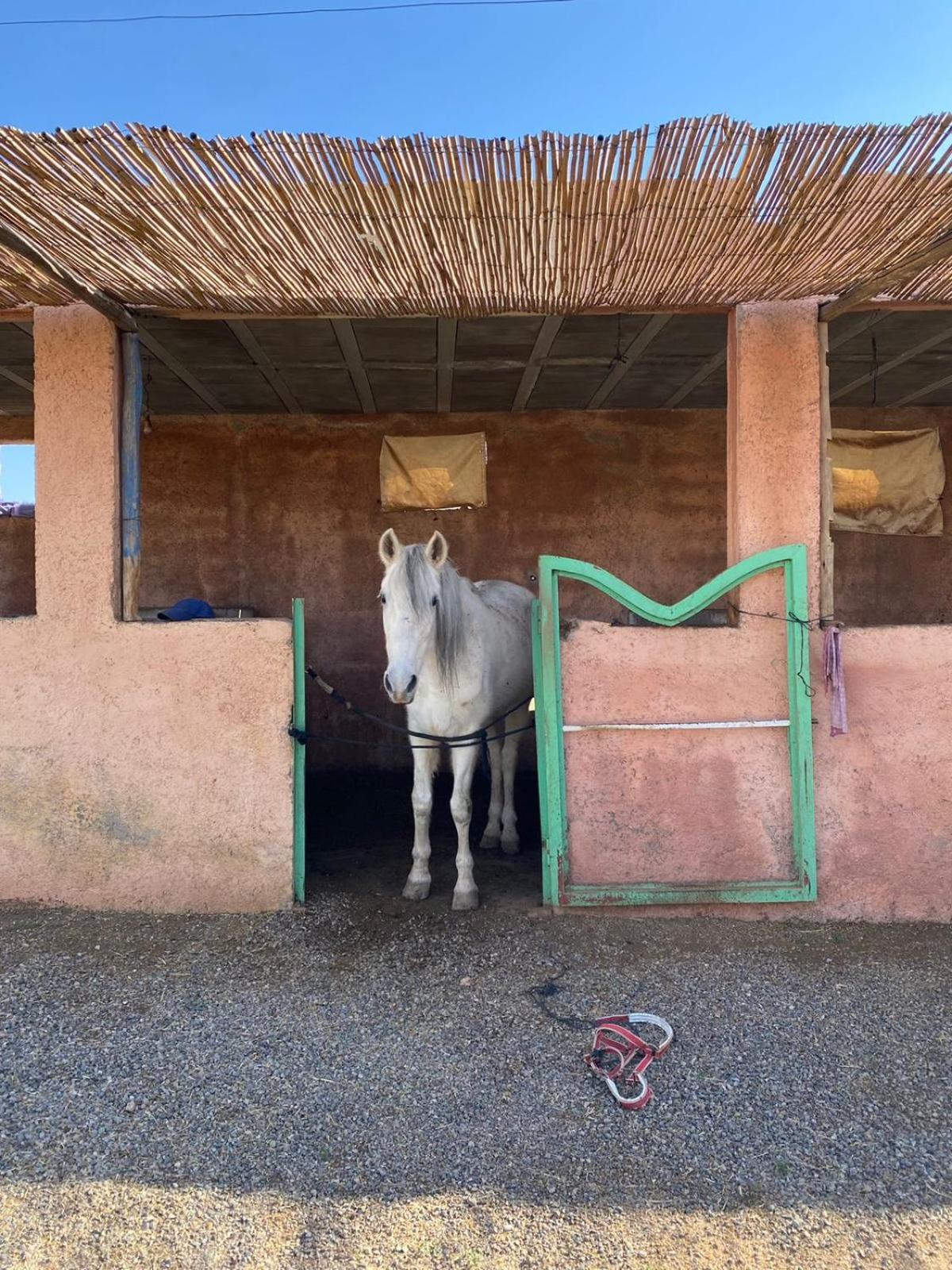 Villa Les Cavaliers Chez Yassine Marrakesh Exterior foto